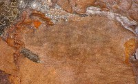 /album/galeria-de-fotos-ufcd-0139-imagens-matriciais/lagarto-jpg/
